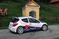 Rallye Český Krumlov: Test Peugeot Delimax Total Czech National Teamu
